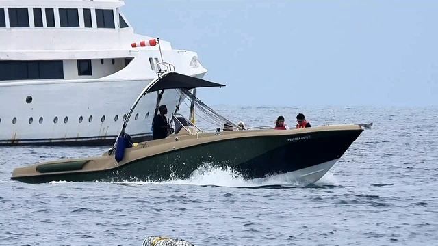 Мальдивы – тропическое государство