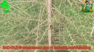 Стартуем новый объект. Часть 2. Продолжение.