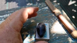 Виноград Памяти Бронислава (Калугин В. М.) 09.08.24г.виногр