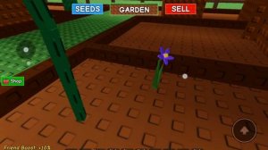 получил огромное пальмовое дерево в grow a garden