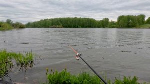 ПОКЛЁВКА КАРАСЯ