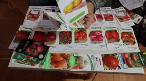 Самые сладкие томаты, гибриды и сорта 24-25 годов на РЕГЕ