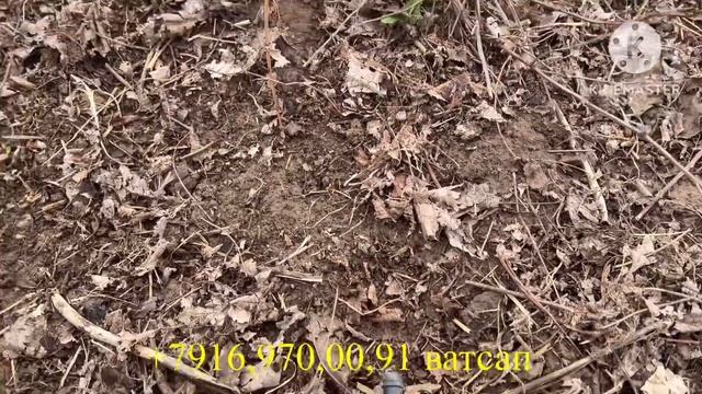 Даяр малина бизнес сатылат/продаётся готовый бизнес смотреть онлайн