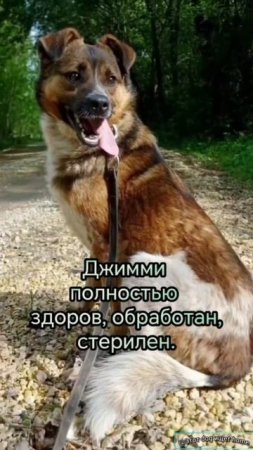 Ангел дня