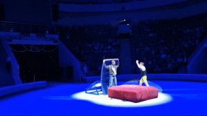 Clown Akula. Анатолий Окулов АКУЛА. circus act Trampoline