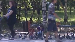 В парке 200-летия Череповца лошадь ударила копытом 6-летнюю девочку