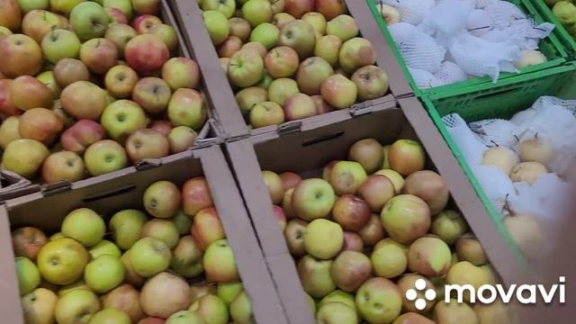 Алматы#магнум#цены на лук и картофель# налетай дёшево. смотреть онлайн