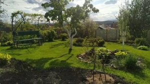 Сад. Перед дождём. Таймлапсы. 21.05.2025