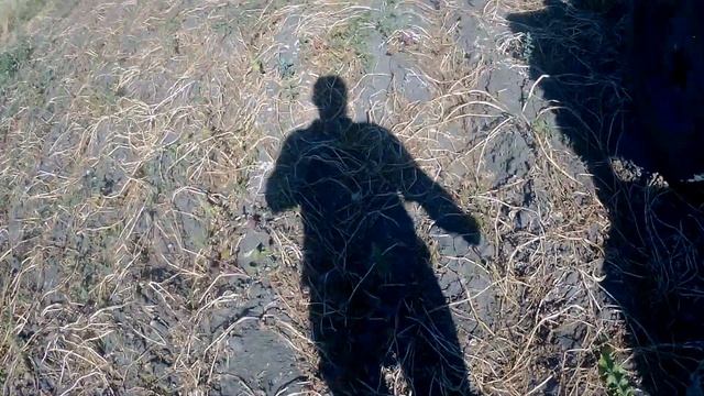 Копаю картошку! Урожай в этом году вообще плохой! смотреть онлайн