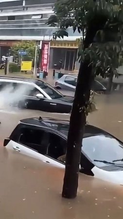 Узнали ???хорошо идёт
