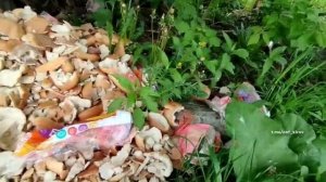 Новости Кирова 20.05.2025