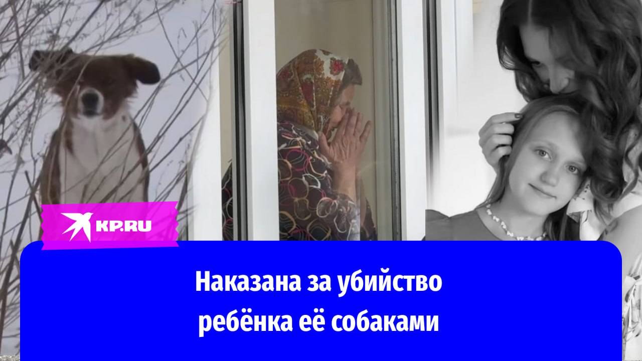 Чем закончилась история с убитой собаками 9-летней девочкой в Ставрополе