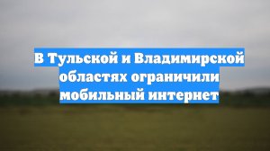 В Тульской и Владимирской областях ограничили мобильный интернет