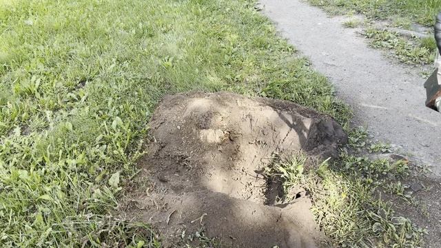 mini-pogryzchik-izmrlchitel.mp4