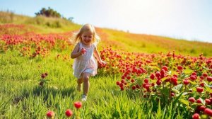 Полинка-малинка — детская песенка