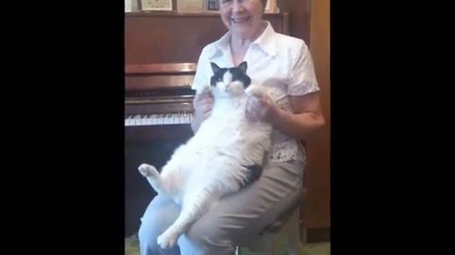 Замечательному другу в День Рождения!