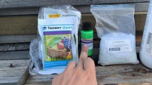 профилактическая обработка винограда в августе