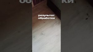 Что делать с тараканами ?