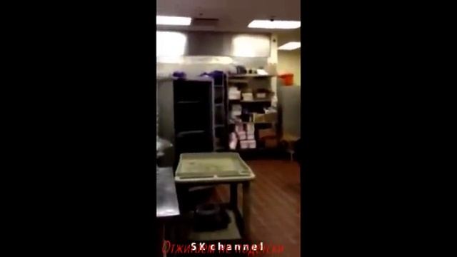 Лучшие приколы лета 2015 смотреть онлайн