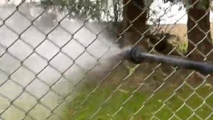 Эффективная очистка сетки рабицы от мха и плесени | Мо?