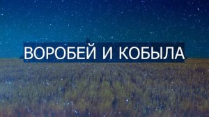 Кобыла и воробей - Сказка для взрослых