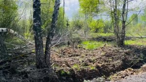 Участок 6,3 сотки в Якунино