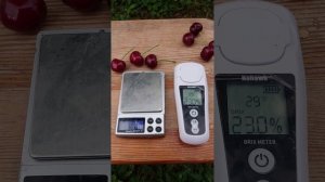 Черешня Стаккато