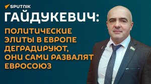 Гайдукевич: поработав еще пару лет, Каллас развалит Евросоюз