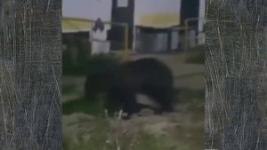 А-анал 😁😁😁😁😂😂😂😂