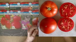 Краткие итоги сезона 2024  Томаты от Сибирского сада