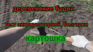 Деревенские будни, сажаем картошку, тест на новый инструмент, прогулка по селу, 9 мая 2025