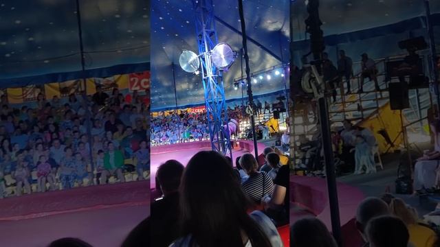 приезжий цирк 2023 давно не ходили и сынулю заодно сводила. Было круто 👍👏🤗 смотреть онлайн