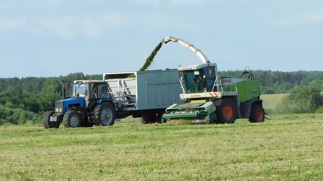 ☘️Сенаж 2023 года. CLAAS JAGUAR 870, МТЗ 1221.2, прицеп ПСС-15☘️ смотреть онлайн
