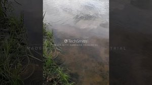 отдых на Десногорском водохранилище