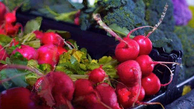 КРУПНАЯ СОЧНАЯ РЕДИСКА БЕЗ ПУСТОТ И ГОРЕЧИ, СДЕЛАЙ ТАК
