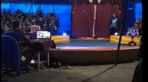 Magic show Фокусы в цирке