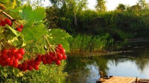 ТАМ,ГДЕ БЕРЕГ РЕЧКИ(ЗАХАРОВ)