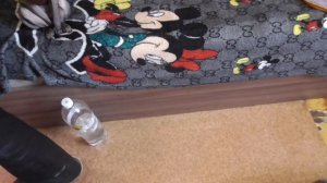 распаковка с  waildberries  плакат пурген все государства - концлагеря