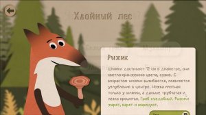 Анимированный прототип обучающего приложения Лисья поляна, Ксения Костыгина, Ульяна Белова