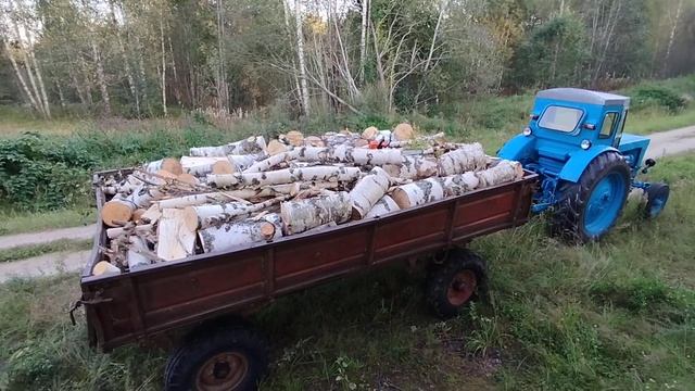 ТРУДИМСЯ НА Т40 СО СТАРЫМ ПРИЦЕПОМ 2ПТС4! ! !