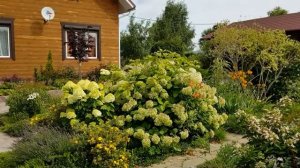 Мой летний сад часть (1)