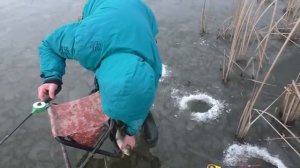 Зимняя рыбалка Ловля карася. My fishing