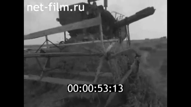 1978г. колхоз Знамя Победы Саратовская  обл