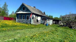 г Рыбинск. У Друга на Сенокосе . 21 мая 2025 год .