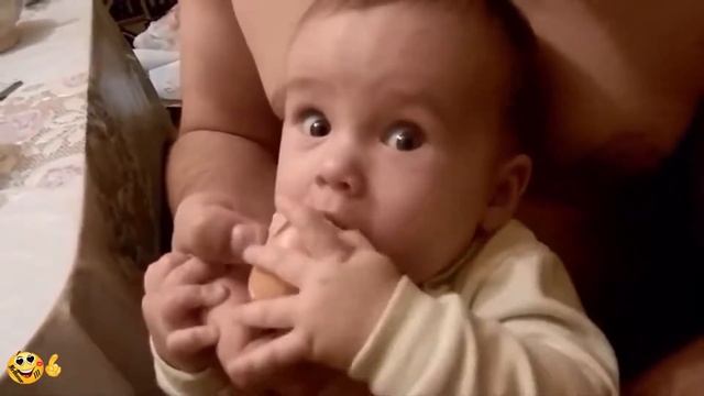 Смешное видео с детьми, людьми, животными пранки, приколы