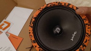 эстрадная акустика DL Audio Barracuda165 SE