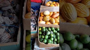 Маленькое вкусное чудо. Ананасовые дыни.