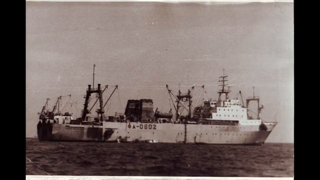 C Днём РЫБАКА БРАТВА!!! смотреть онлайн