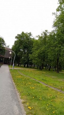 центральный парк
