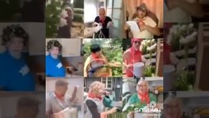 Пионеры - пенсионеры